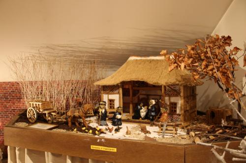 IMG_9907 (Large)